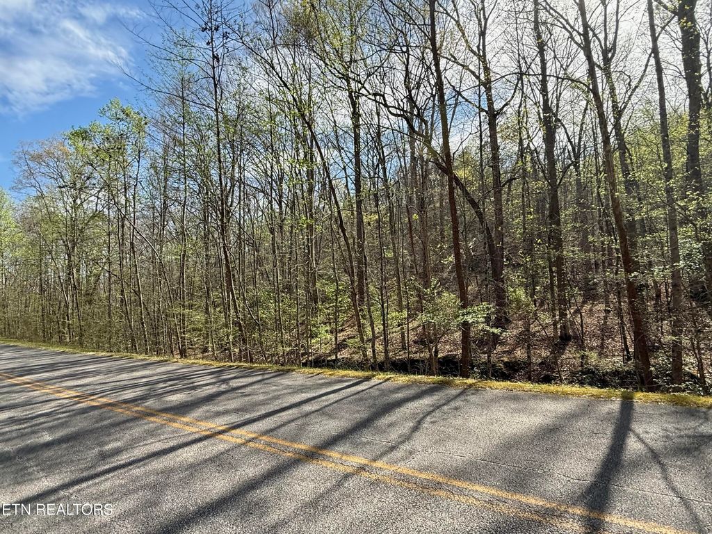 Photo of Hidden Oaks Rd #Lot  444, Rockwood, TN 37854 (MLS # 1335184)