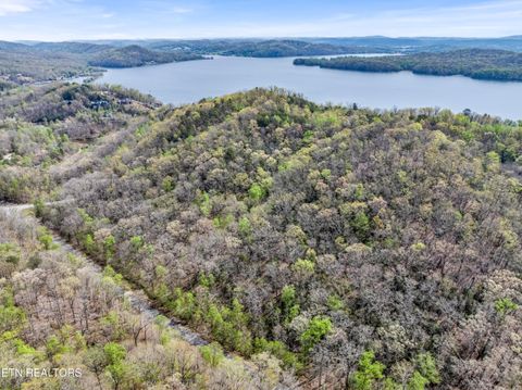 Tiny photo for Hidden Oaks Rd #Lot  444, Rockwood, TN 37854 (MLS # 1335184)