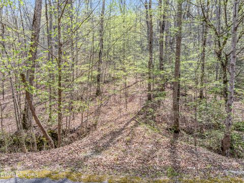 Tiny photo for Hidden Oaks Rd #Lot  444, Rockwood, TN 37854 (MLS # 1335184)
