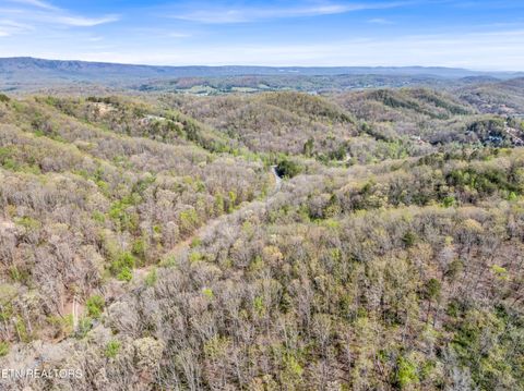 Tiny photo for Hidden Oaks Rd #Lot  444, Rockwood, TN 37854 (MLS # 1335184)