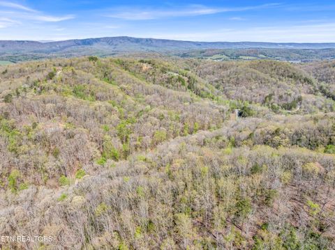 Tiny photo for Hidden Oaks Rd #Lot  444, Rockwood, TN 37854 (MLS # 1335184)
