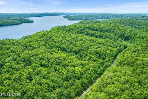 Tiny photo for Hidden Oaks Rd #Lot  444, Rockwood, TN 37854 (MLS # 1335184)