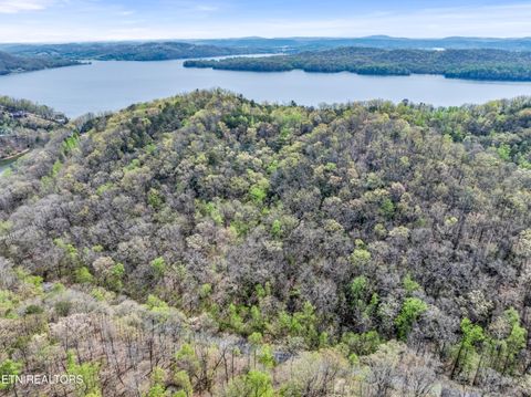 Tiny photo for Hidden Oaks Rd #Lot  444, Rockwood, TN 37854 (MLS # 1335184)