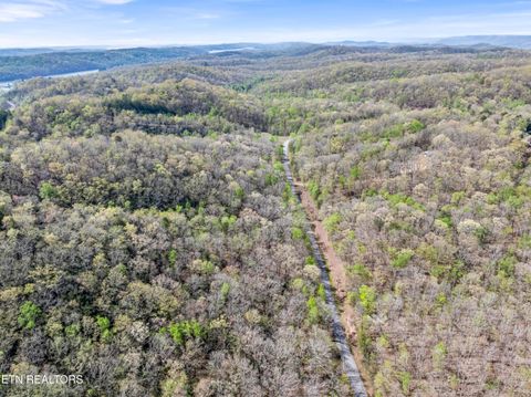 Tiny photo for Hidden Oaks Rd #Lot  444, Rockwood, TN 37854 (MLS # 1335184)