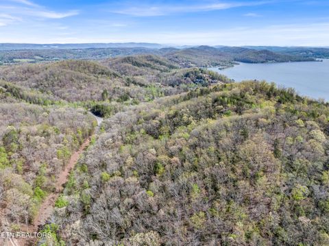 Tiny photo for Hidden Oaks Rd #Lot  444, Rockwood, TN 37854 (MLS # 1335184)
