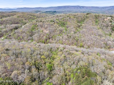 Tiny photo for Hidden Oaks Rd #Lot  444, Rockwood, TN 37854 (MLS # 1335184)