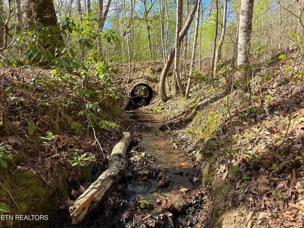 Photo of Hidden Oaks Rd #Lot  444, Rockwood, TN 37854 (MLS # 1335184)