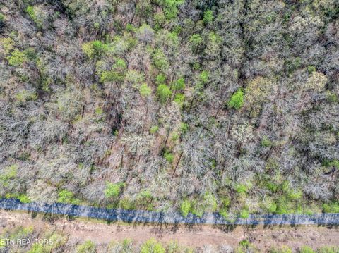Tiny photo for Hidden Oaks Rd #Lot  444, Rockwood, TN 37854 (MLS # 1335184)