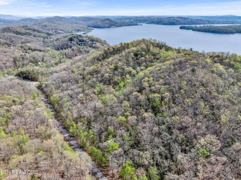 Tiny photo for Hidden Oaks Rd #Lot  444, Rockwood, TN 37854 (MLS # 1335184)