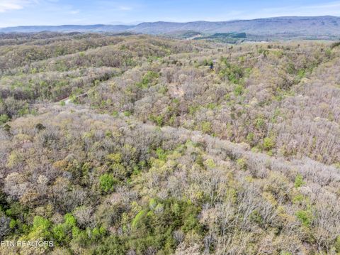 Tiny photo for Hidden Oaks Rd #Lot  444, Rockwood, TN 37854 (MLS # 1335184)