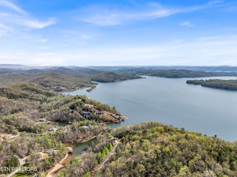 Tiny photo for Hidden Oaks Rd #Lot  444, Rockwood, TN 37854 (MLS # 1335184)