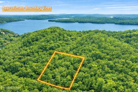 Tiny photo for Hidden Oaks Rd #Lot  444, Rockwood, TN 37854 (MLS # 1335184)