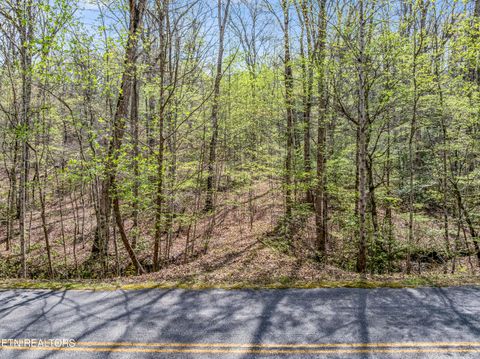 Tiny photo for Hidden Oaks Rd #Lot  444, Rockwood, TN 37854 (MLS # 1335184)