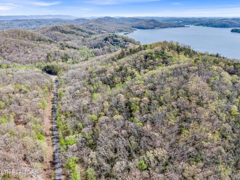 Tiny photo for Hidden Oaks Rd #Lot  444, Rockwood, TN 37854 (MLS # 1335184)