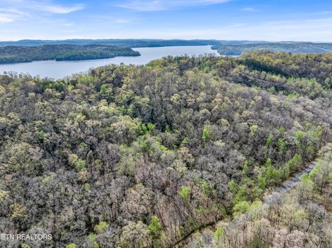 Tiny photo for Hidden Oaks Rd #Lot  444, Rockwood, TN 37854 (MLS # 1335184)