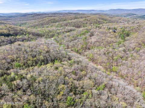 Tiny photo for Hidden Oaks Rd #Lot  444, Rockwood, TN 37854 (MLS # 1335184)
