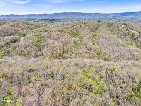 Tiny photo for Hidden Oaks Rd #Lot  444, Rockwood, TN 37854 (MLS # 1335184)