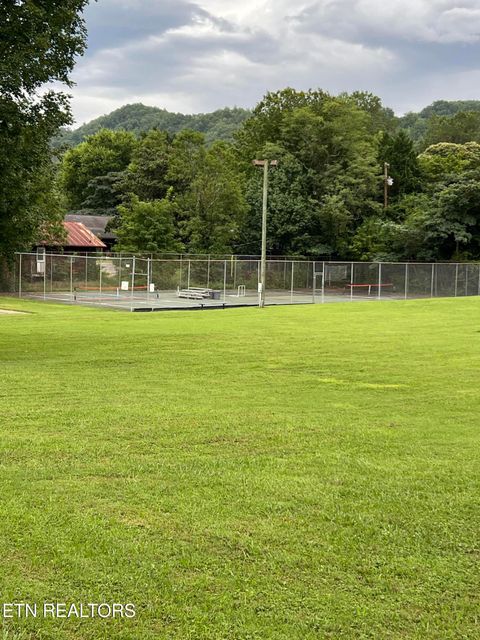 Tiny photo for 196 Highway 73, Townsend, TN 37882 (MLS # 1312295)