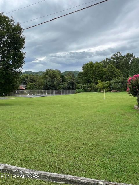 Tiny photo for 196 Highway 73, Townsend, TN 37882 (MLS # 1312295)