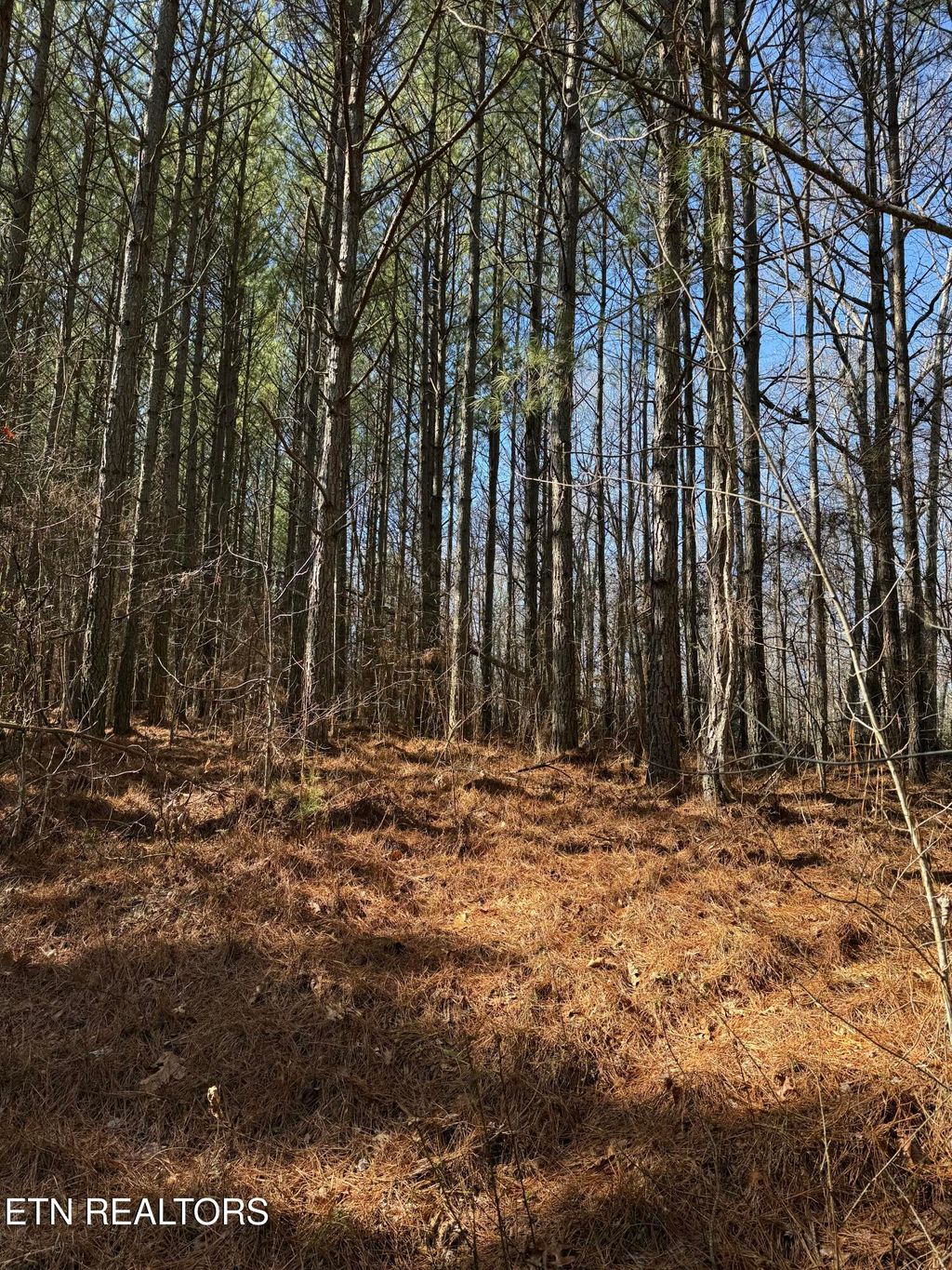 Photo of 00 Sam Summers Rd, Rockwood, TN 37854 (MLS # 1289466)