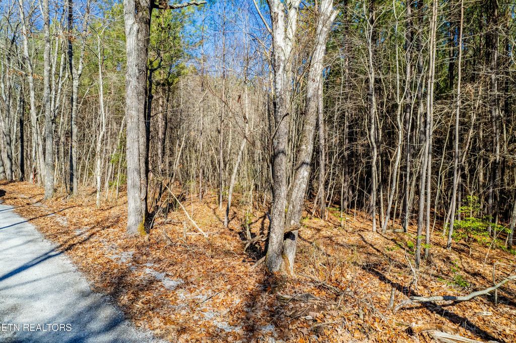 Photo of 00 Sam Summers Rd, Rockwood, TN 37854 (MLS # 1289466)
