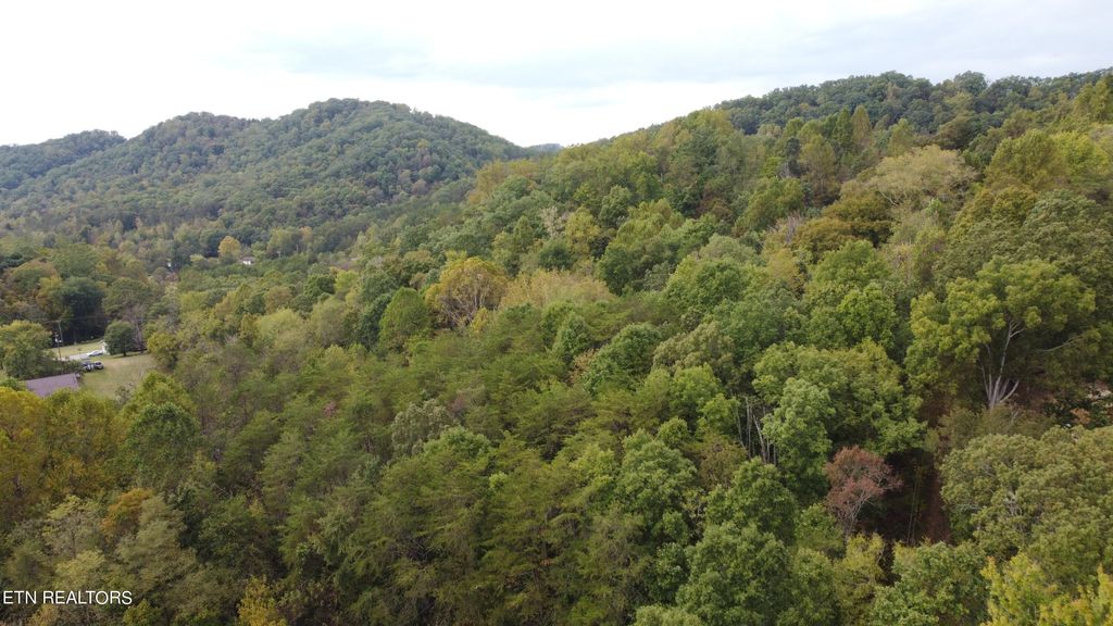 Photo of 1335 Maynardville Hwy, Maynardville, TN 37807 (MLS # 1243238)