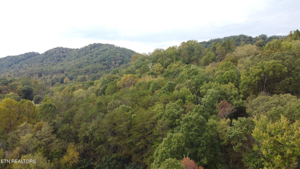 Photo of 1335 Maynardville Hwy, Maynardville, TN 37807 (MLS # 1243238)