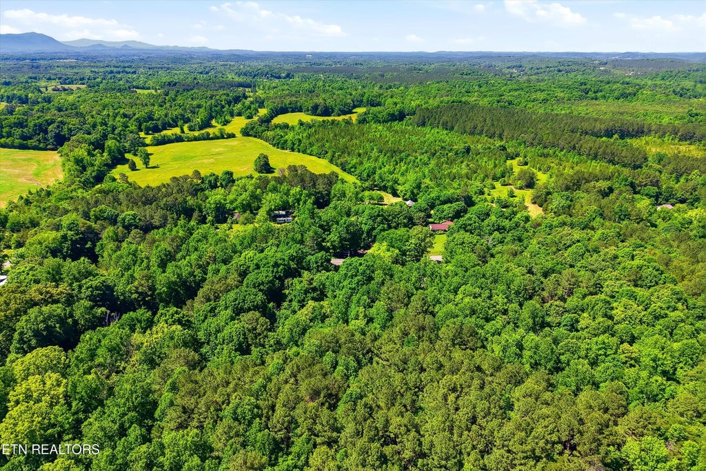 Photo of 2 Highway 163, Riceville, TN 37370 (MLS # 1350893)