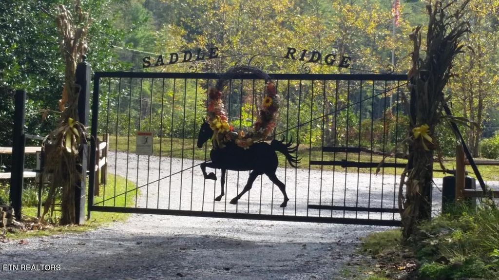 Photo of 1852 Oakwood Rd, Walland, TN 37886 (MLS # 1240245)