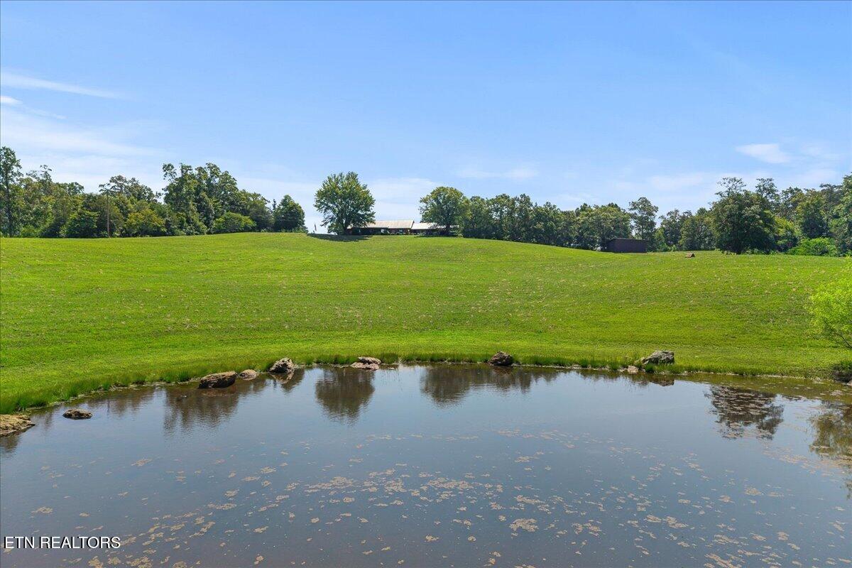 910 Reagan Valley Rd