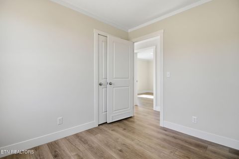 Tiny photo for 233 Songbird Rd, White Pine, TN 37890 (MLS # 1328344)