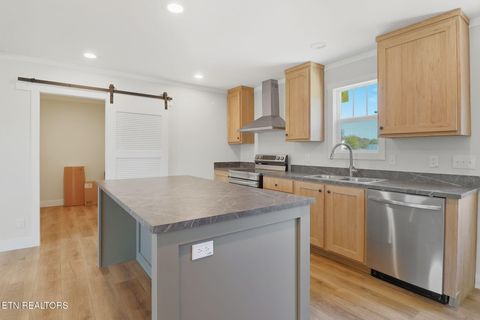 Tiny photo for 233 Songbird Rd, White Pine, TN 37890 (MLS # 1328344)