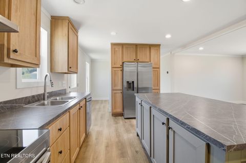 Tiny photo for 233 Songbird Rd, White Pine, TN 37890 (MLS # 1328344)