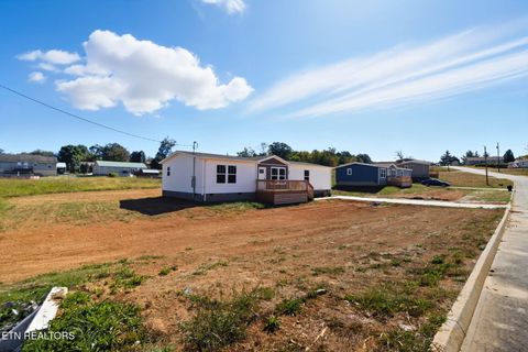 Tiny photo for 233 Songbird Rd, White Pine, TN 37890 (MLS # 1328344)