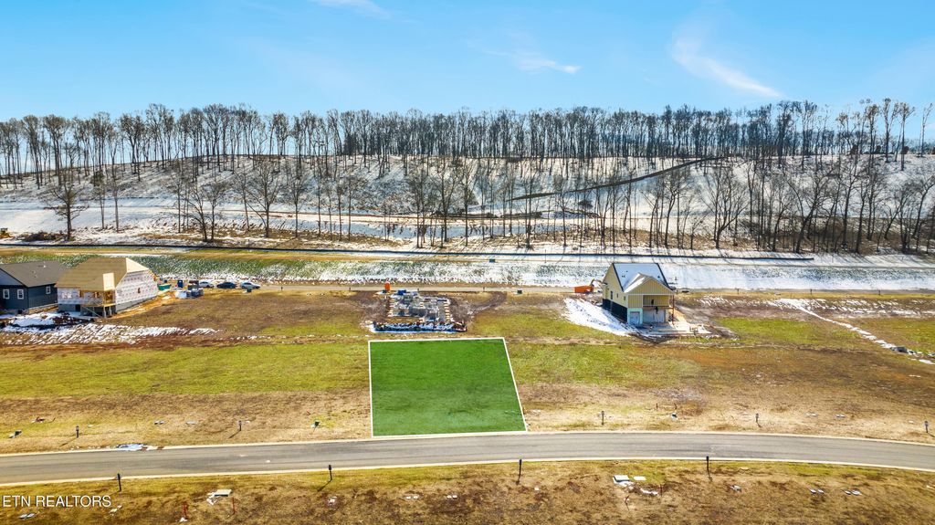 Photo of 958 Black Bear Circle, Loudon, TN 37774 (MLS # 1327806)