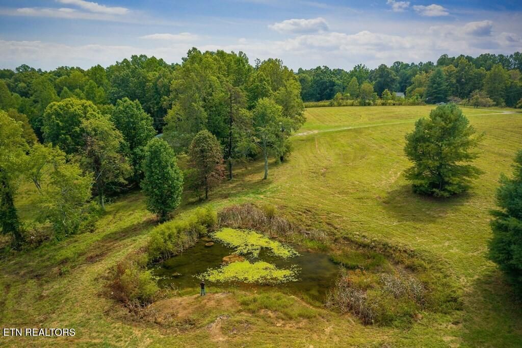 Photo of 229 Craig Rd, Monterey, TN 38574 (MLS # 1324163)