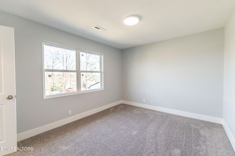 Tiny photo for 1909 Matthew Lane, Knoxville, TN 37923 (MLS # 1328119)