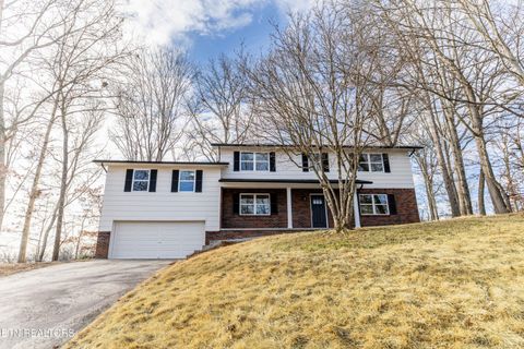 Tiny photo for 1909 Matthew Lane, Knoxville, TN 37923 (MLS # 1328119)