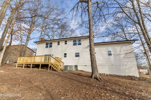 Tiny photo for 1909 Matthew Lane, Knoxville, TN 37923 (MLS # 1328119)