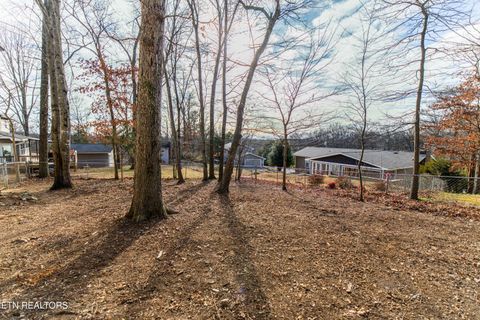 Tiny photo for 1909 Matthew Lane, Knoxville, TN 37923 (MLS # 1328119)