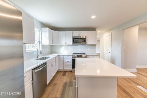 Tiny photo for 1909 Matthew Lane, Knoxville, TN 37923 (MLS # 1328119)