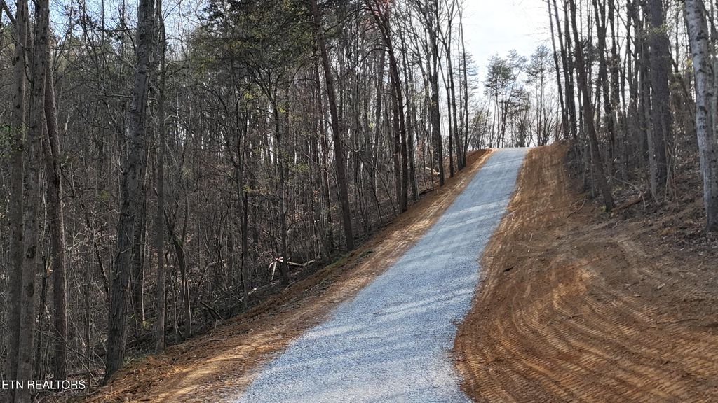 Photo of 4770 E Lamar Alexander Pkwy, Walland, TN 37886 (MLS # 1334474)