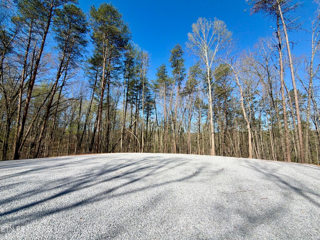 Photo of 4770 E Lamar Alexander Pkwy, Walland, TN 37886 (MLS # 1334474)