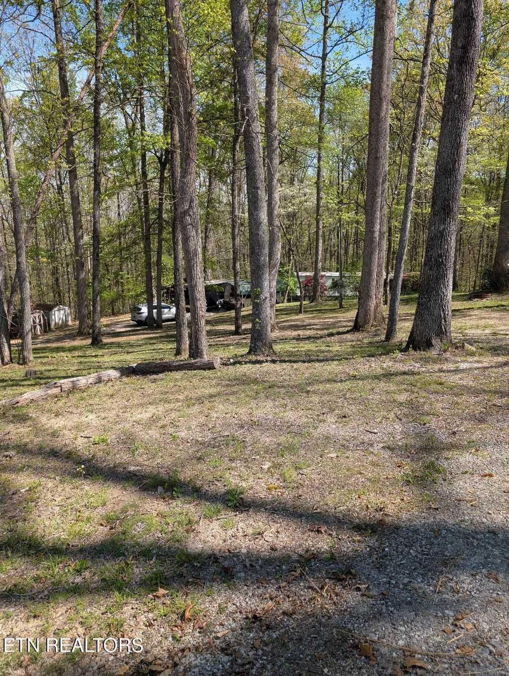 Photo of 309 Old Jacksboro Pike, Heiskell, TN 37754 (MLS # 1336484)