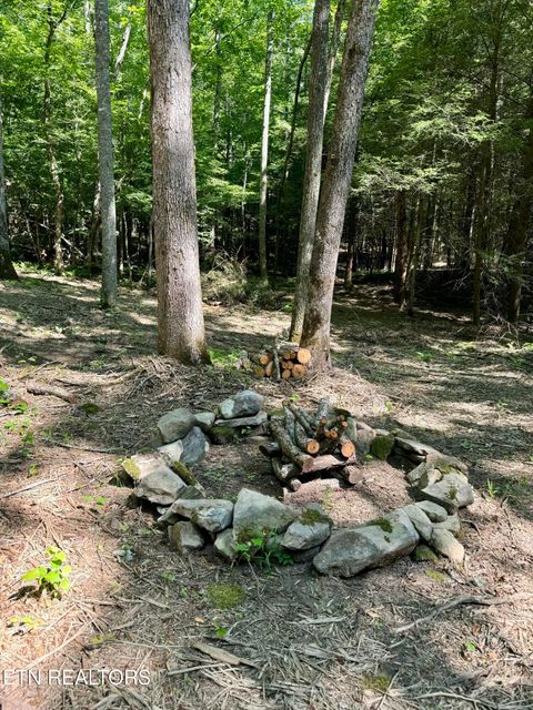 Tiny photo for 59 Union Hill Rd, Sunbright, TN 37872 (MLS # 1326679)