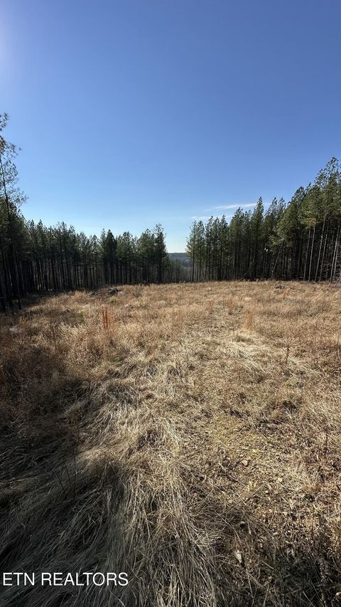 Tiny photo for 59 Union Hill Rd, Sunbright, TN 37872 (MLS # 1326679)