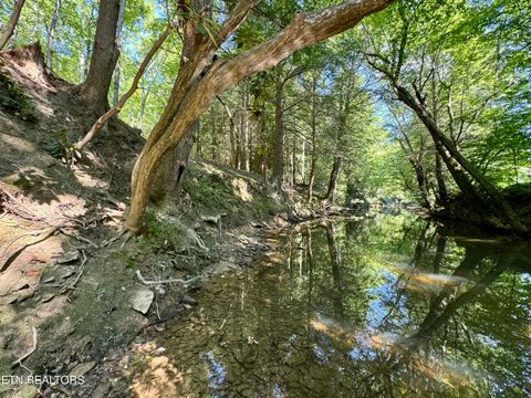 Tiny photo for 59 Union Hill Rd, Sunbright, TN 37872 (MLS # 1326679)