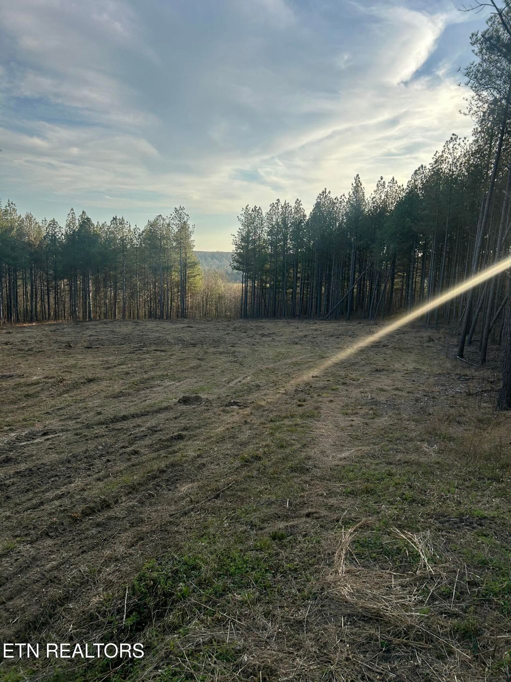 Photo of 59 Union Hill Rd, Sunbright, TN 37872 (MLS # 1326679)