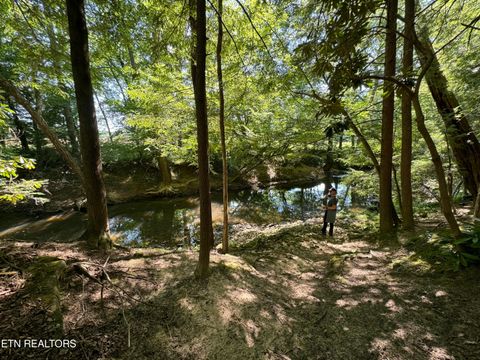 Tiny photo for 59 Union Hill Rd, Sunbright, TN 37872 (MLS # 1326679)