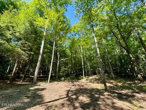 Tiny photo for 59 Union Hill Rd, Sunbright, TN 37872 (MLS # 1326679)